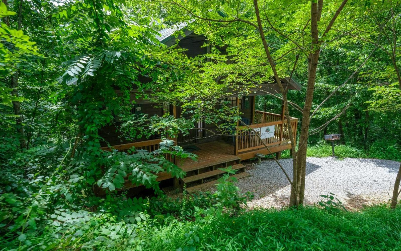 הוילה גטלינבורג The Tree House מראה חיצוני תמונה
